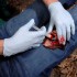 Аппликатор гемостатический с гранулами Rhino Rescue в Орле хитозановый